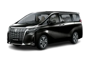 alphard-transformer-1