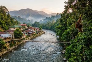 Mau ke Bukit Lawang ?  Berikut Rute dan Estimasi Biaya Sewa Mobil dari Medan !